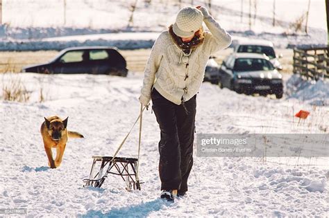 Full Length Of Young Woman Pulling Snow Sled During Winter High Res