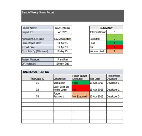 Daily Project Status Report Template