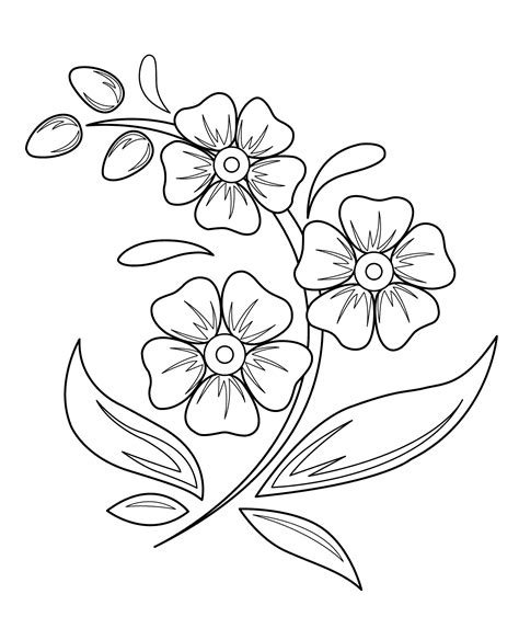 Flower Drawing Images Without Colour Kolejowy Swiat