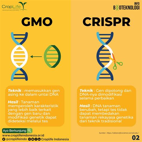 Perbedaan Gmo Prg Dan Crisprcas Pengeditan Gen Croplife Indonesia