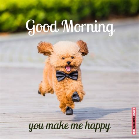 Good Morning You Make Me Happy Morning Quotes Funny Good Morning