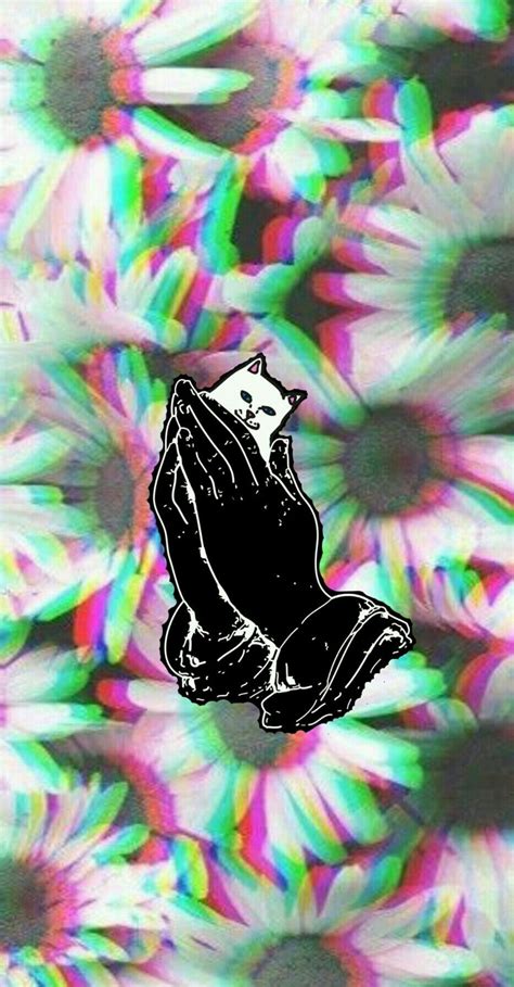 Hand reaching out from heap of papers model silhouette portrait while making middle finger gestures Ripndip iphone wallpaper #ripndip #middle #finger #cat # ...