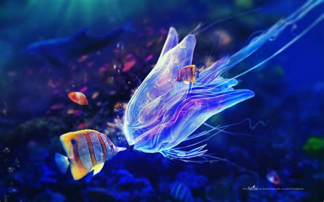 Jellyfish Ocean Creatures Pinterest