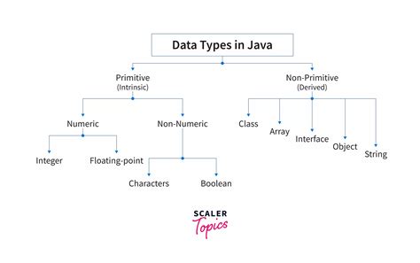 Non Primitive Data Types In Java Scaler Topics