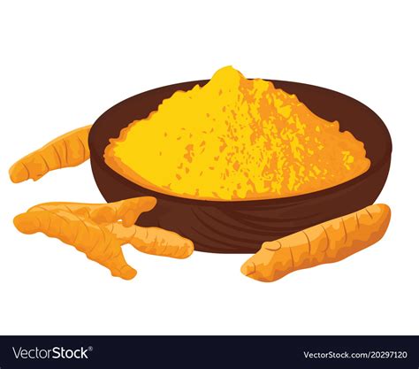 Turmeric Roots And Powder In A Bowl Royalty Free Vector