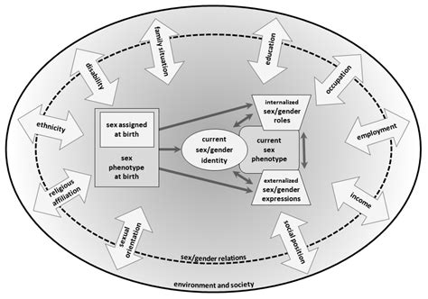 Ijerph Free Full Text Integrating Sex Gender Into Environmental Health Research Development