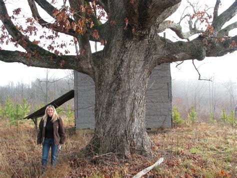 The white oak inn is the perfect place to celebrate an anniversary, honeymoon, or other events. Dianne's Big Tree: Dianne's Big White Oak Tree