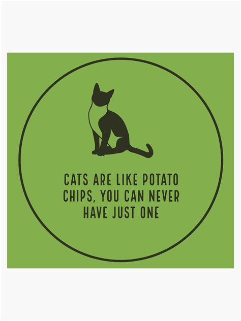 Cats Are Like Potato Chips You Can Never Have Just One Sticker By