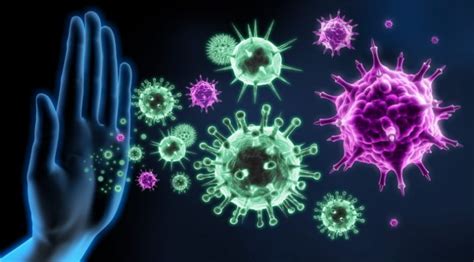 Tìm hiểu rõ hơn về cơ chế của miễn dịch đặc hiệu