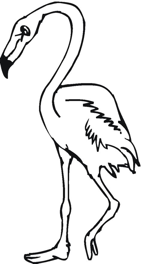 Free printable zentangle flamingo coloring pages for adults and teens. Pink Flamingo Coloring Pages - Coloring Home