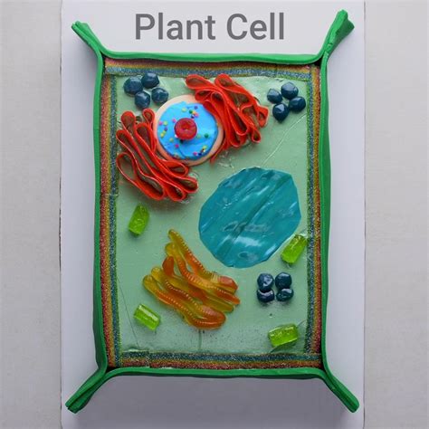 Edu Cake Yourself With These 7 Cool Science Cakes Plant Cell Cake