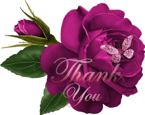 We did not find results for: Glitter Graphics: the community for graphics enthusiasts!