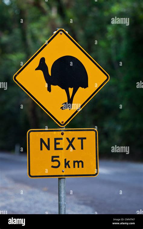 Cassowary Crossing Sign Daintree National Park Daintree Queensland
