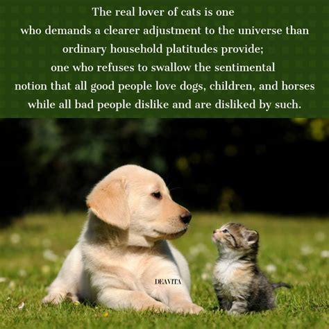 The Truth About Cats And Dogs Quotes Joicefglopes