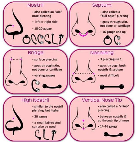 different types of nose piercings