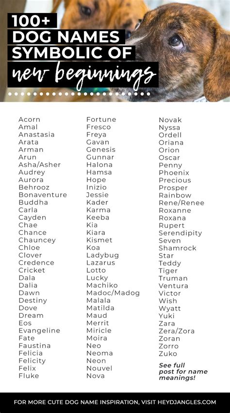 100 Dog Names That Mean New Beginning Dog Names Symbolic Of New