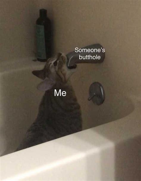 Sort by relevance, rating, and more to find the best full length femdom movies! A tasty snack : dankmemes