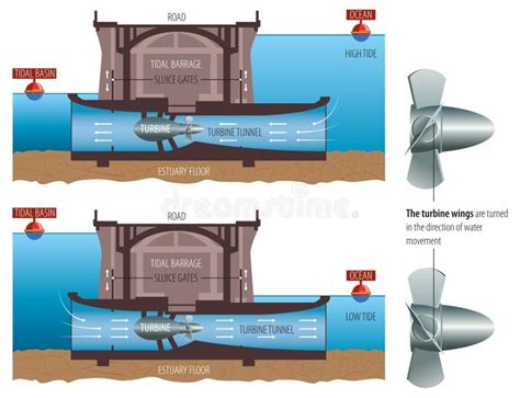 Tidal Energy Plant Diagram
