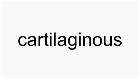 How To Pronounce Cartilaginous Youtube