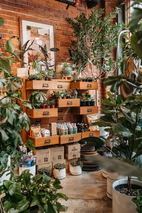 2023 Indoor Plant Trends — Experts Share 7 Houseplants To Know