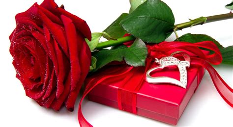 Red Rose Heart Love Flower Box Wallpaper 2560x1401 478327 Wallpaperup