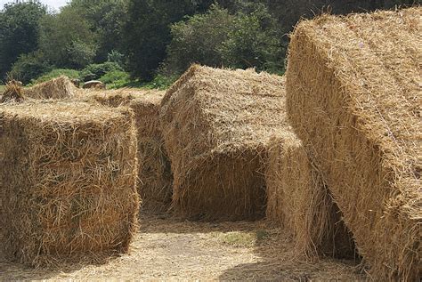 Straw Bales Free Stock Photo Public Domain Pictures