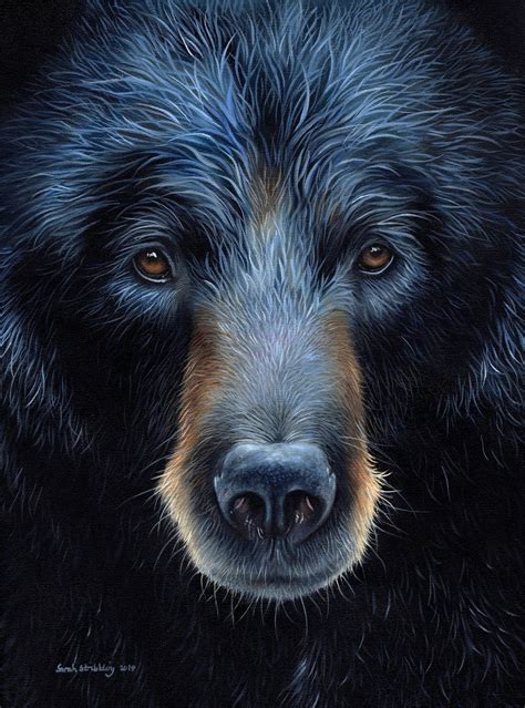 Black Bear Black Bears Art Bear Paintings Black Bear
