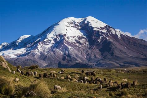 Volcán Chimborazo La Montaña Más Alta De Ecuador Imagen De Archivo