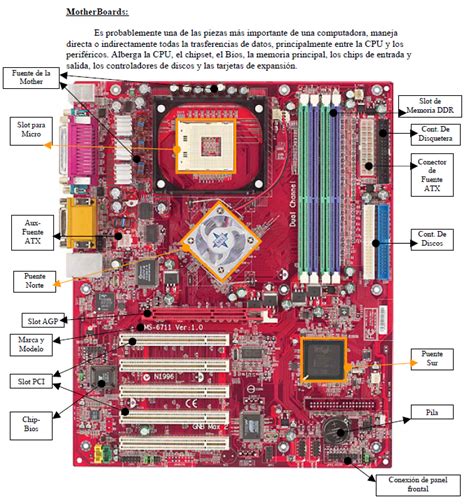 Triazs Tarjeta Madre Definicion Partes