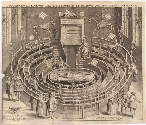 Etching Of The Anatomy Theatre At The University Of Leiden By Willem