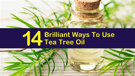 14 Brilliant Ways To Use Tea Tree Oil