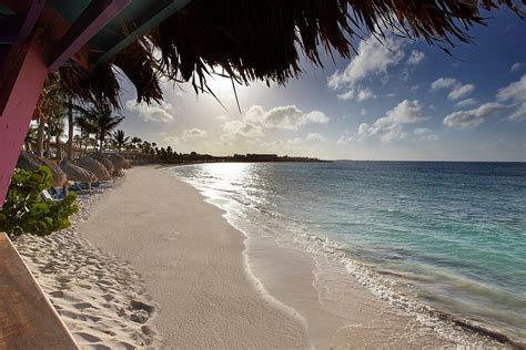 Divi Aruba Phoenix Beach Resort Pool Pictures And Reviews Tripadvisor