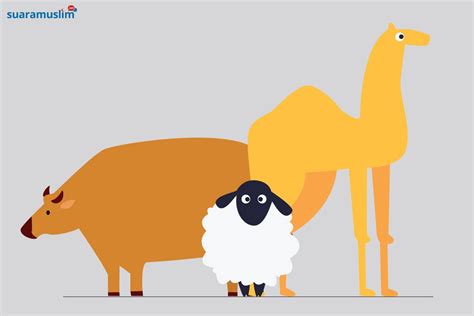 Contoh Gambar Ilustrasi Tentang Hewan - Gambar Ilustrasi