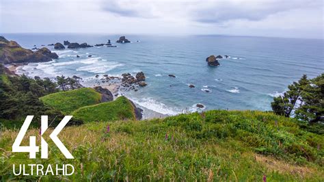 Ocean Waves Soundscape Coastal Oregon 4k Soundscapes Proartinc