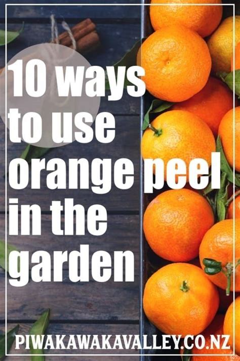 10 Brilliant Ways To Use Orange Peels In The Garden 1000 Orange