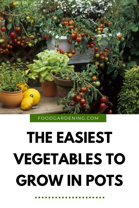 The Easiest Vegetables To Grow In Pots In 2021 Easy Vegetables To