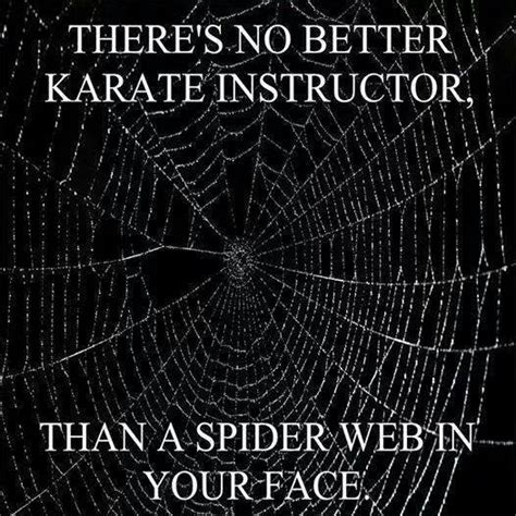 Quotes About Killing Spiders Quotesgram