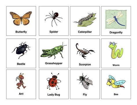 Maybe you would like to learn more about one of these? Clear Speech Therapy: Language