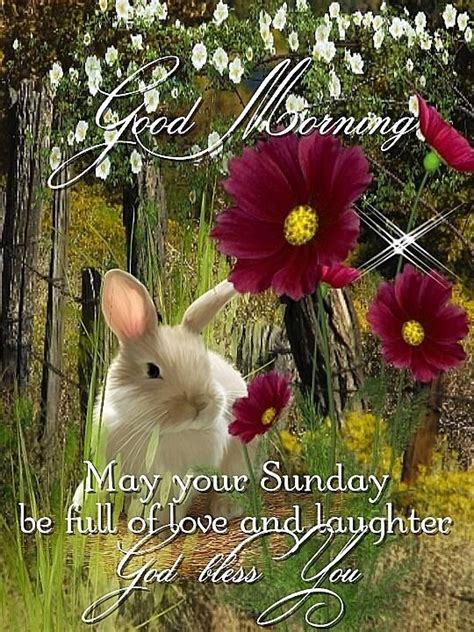 Good Morning May Your Sunday Be Filled With Love Pictures