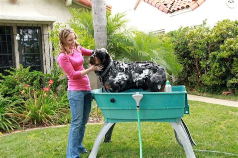 Booster Bath Elevated Dog Bath Tub - Pet Advice Now | Dog washing