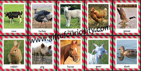 Farm Animals Bingo Free Printable T Of Curiosity
