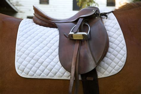 How To Put A Saddle On A Horse