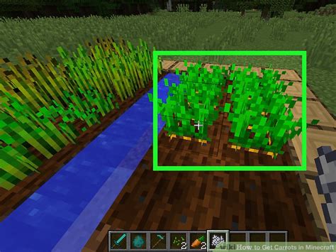 What is the easiest way to plant carrots? How to Get Carrots in Minecraft: 14 Steps (with Pictures)