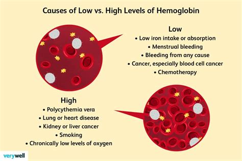 Reasons For Low Hemoglobin Hot Sex Picture