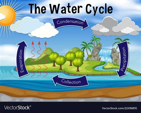 Art The Water Cycle Images And Photos Finder