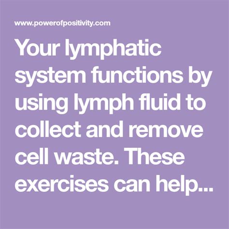 7 Exercises That Flush Your Lymphatic System Lymphatic System