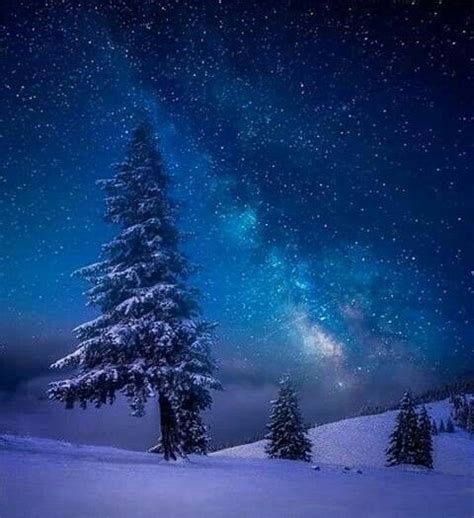 Starry Winters Night Beautiful Sky Beautiful World Beautiful