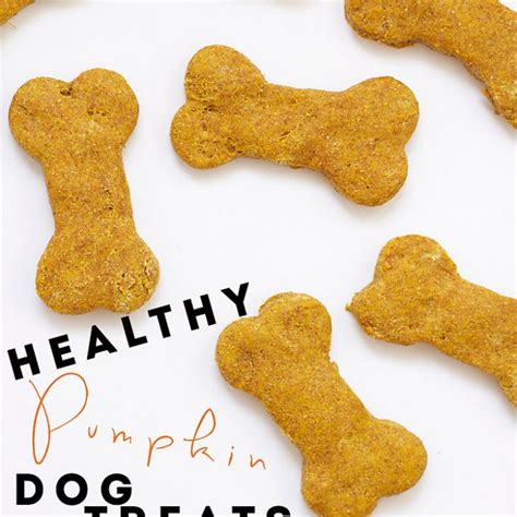 How about some homemade cat treats with pumpkin? Healthy Pumpkin Dog Treats Recipe Desserts, Lunch with ...