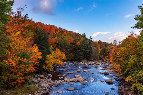 Fall Foliage White Mountains