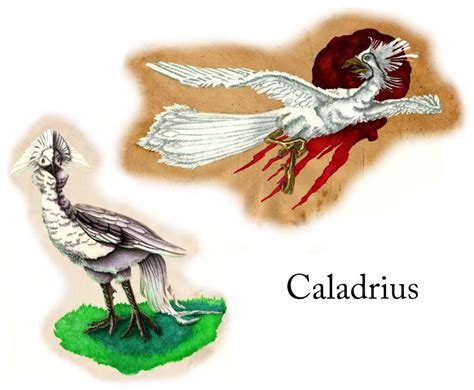 Caladrius According To The Roman Mythology Is A Snow White Bird That